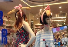 Tags: french, funny (Pict. in My r/FUNNY favs)