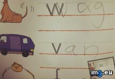 Tags: funny, nice, not (Pict. in My r/FUNNY favs)