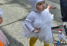 Tags: costume, fun, funny, halloween, people (Pict. in My r/FUNNY favs)