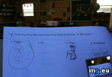 Tags: funny, kindergartners, live (Pict. in My r/FUNNY favs)