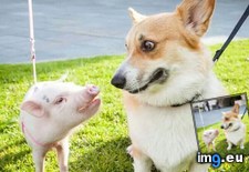 Tags: earth, funny (Pict. in My r/FUNNY favs)