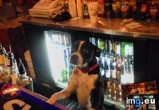 Tags: funny, service (Pict. in My r/FUNNY favs)