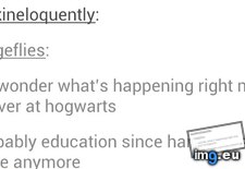 Tags: funny, harry (Pict. in My r/FUNNY favs)