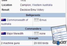 Tags: funny, happened, war (Pict. in My r/FUNNY favs)