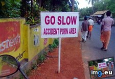 Tags: funny, you (Pict. in My r/FUNNY favs)