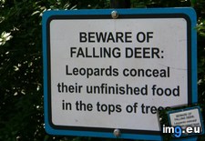 Tags: awesome, day, funny (Pict. in My r/FUNNY favs)