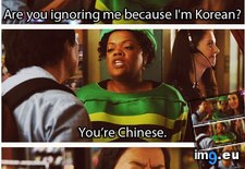 Tags: chinese, funny, you (Pict. in My r/FUNNY favs)