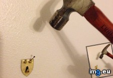 Tags: funny, hit (Pict. in My r/FUNNY favs)