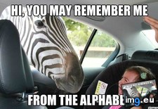 Tags: funny, traumatized (Pict. in My r/FUNNY favs)