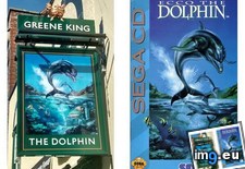 Tags: dolphin, ecco, gaming, pub (Pict. in My r/GAMING favs)