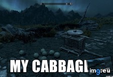 Tags: gaming, immediately, skyrim, thought, wandering (Pict. in My r/GAMING favs)