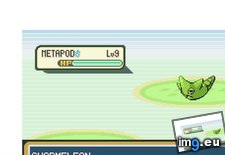 Tags: bad, gaming, pokemon (Pict. in My r/GAMING favs)