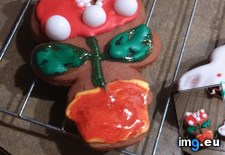 Tags: brother, gaming, gingerbread, making, men, snowman, turns, upside (Pict. in My r/GAMING favs)