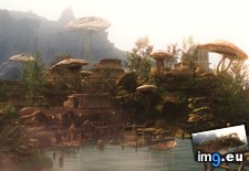 Tags: beautiful, gaming, morrowind, place (Pict. in My r/GAMING favs)
