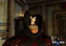Tags: favorite, gaming, modarger, number (Pict. in My r/GAMING favs)