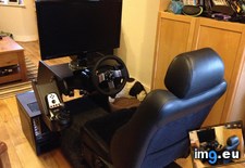 Tags: build, cabinet, gaming, racing, sixspeed (Pict. in My r/GAMING favs)