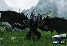 Tags: dragon, gaming, motherfucking, skyrim, time, werewolf (Pict. in My r/GAMING favs)