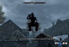 Tags: gaming, guards, man, skyrim (Pict. in My r/GAMING favs)