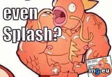 Tags: gaming, lvl, magikarp, picture, use (Pict. in My r/GAMING favs)