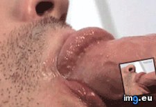 Tags: animated, blowjob, cock, cocksucker, gay, gif, licking, lips, male, xxx (GIF in Gay Porn)
