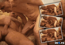 Gerrit Schirmer und die geilen Daddies (#Gif #Animated #Daddies #Gerrit #Schirmer) - 15.4 MB Tags: animated, daddies, die, geilen, gerrit, gif, schirmer (GIF in Instant Upload)