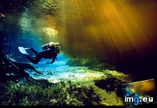 Tags: beautiful, dive, ginnie, spring, wallpaper, wide (Pict. in National Geographic Photo Of The Day 2001-2009)
