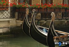 Tags: gondolas, italy, venice (Pict. in Beautiful photos and wallpapers)