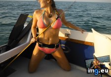 Tags: album, gifs, mega (Pict. in My r/GONEWILD favs)