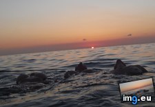 Tags: album, gifs, mega (Pict. in My r/GONEWILD favs)