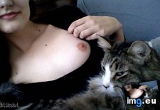 Tags: bed, bonus, boobies, cat (Pict. in My r/GONEWILD favs)