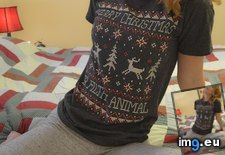 Tags: animals, christmas, merry (Pict. in My r/GONEWILD favs)