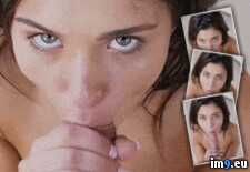 great eye contact porn gif (babes,blowjob,handjob,brunette) (#Porn #Hot #Tits #Pussy #Gif #Animated #Great #Best #Jessica #Orgasmgif #Eye #Contact) - 2.5 MB Tags: animated, babes, best, blowjob, brunette, contact, eye, gif, gifs, great, handjob, hot, jessica, orgasmgif, porn, pussy, slut, tits (GIF in Best Porn GIF-s List)