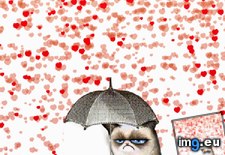Tags: animated, cat, day, grumpy, hearts, raining, valentines (GIF in Rehost)