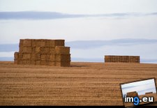 Tags: bale, field, hay (Pict. in National Geographic Photo Of The Day 2001-2009)