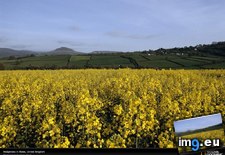 Tags: hedgerows, landscape, wales (Pict. in National Geographic Photo Of The Day 2001-2009)