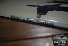 Tags: image (Pict. in new 1)