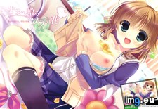 Tags: 3rd, chicks, collection, dicks, ecchi, guys, hentai, high, res, uncensored, update, walls, yuri (Pict. in My r/HENTAI favs)