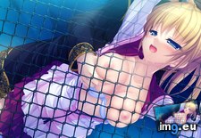 Tags: hentai (Pict. in My r/HENTAI favs)