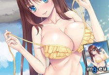 Tags: album, hentai, wait (Pict. in My r/HENTAI favs)