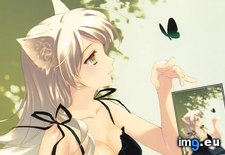 Tags: album, hentai, yet (Pict. in My r/HENTAI favs)