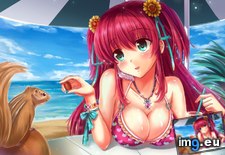 Tags: album, beach, hentai, images (Pict. in My r/HENTAI favs)
