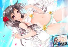 Tags: album, hentai, nudity (Pict. in My r/HENTAI favs)