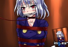 Tags: album, bondage, hentai, relevantthrowaway2 (Pict. in My r/HENTAI favs)