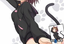Tags: collection, enjoy, hentai, images (Pict. in My r/HENTAI favs)