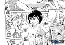 Tags: harem, hentai, natsumitsu (Pict. in My r/HENTAI favs)