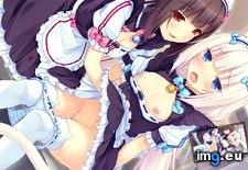 Tags: collection, hentai, praise, yuri (Pict. in My r/HENTAI favs)