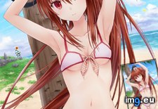 Tags: collection, hentai, images, part, sharing (Pict. in My r/HENTAI favs)