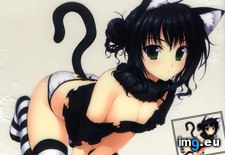 Tags: collection, hentai, images, part, sharing (Pict. in My r/HENTAI favs)