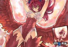 Tags: album, girls, hentai, large, monster, monstergirl, shinrabanshou (Pict. in My r/HENTAI favs)