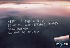 Tags: world (Pict. in Rehost)
